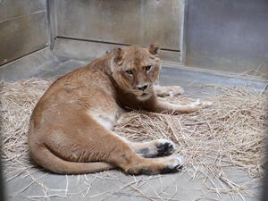 DSCF7470.jpg
