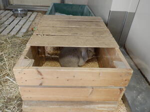 DSCF7587.jpg