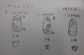 DSCF8811.jpg