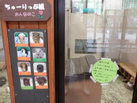 DSCF8586.jpg