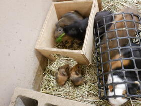 DSCF8588.jpg