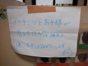 DSCF8602.jpg