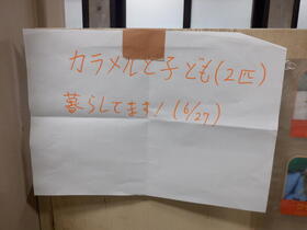 DSCF8603.jpg