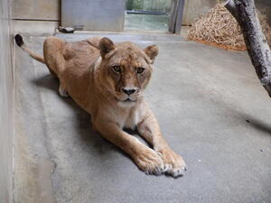 DSCF8622.jpg