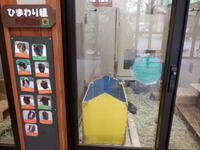 DSCF8587.jpg