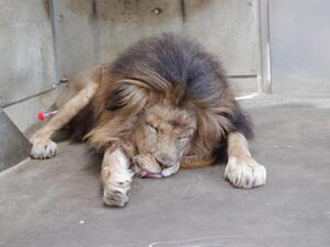 DSCF5713.jpg