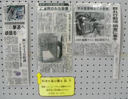 新聞記事.JPG