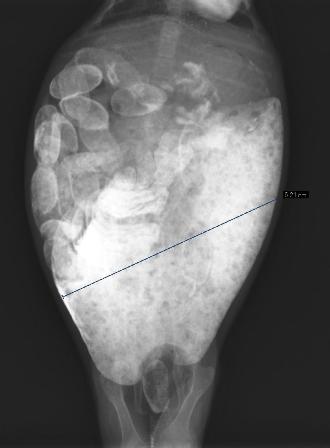 2527-ﾌﾟｸ (9.21 15.jpg;32).jpg