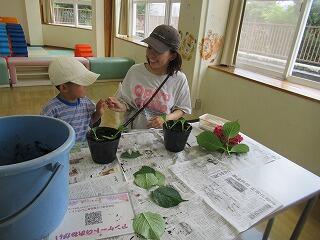 20260708095039-b10c6042aecd623ca45ff2a3a89d18844bad38ef.jpg