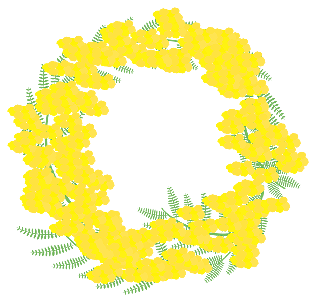 ミモザ_2.png