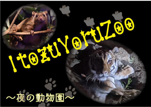 Itozu Yoru Zoo 夜の動物園 イベント情報 到津の森公園