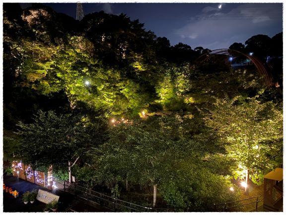 Itozu Yoru Zoo 夜の動物園 イベント情報 到津の森公園