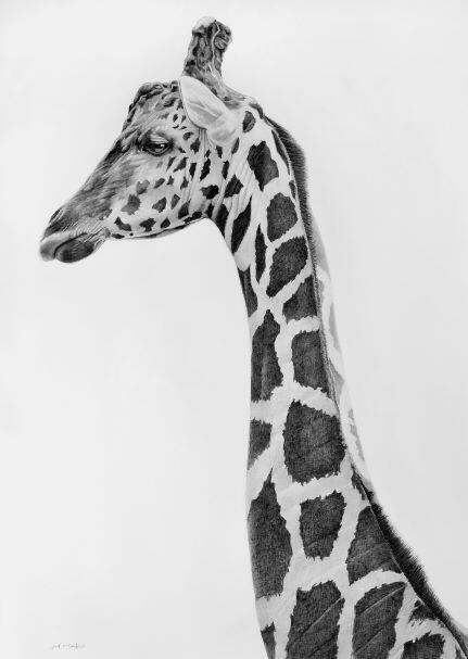 20230401_春の企画展_2.jpg