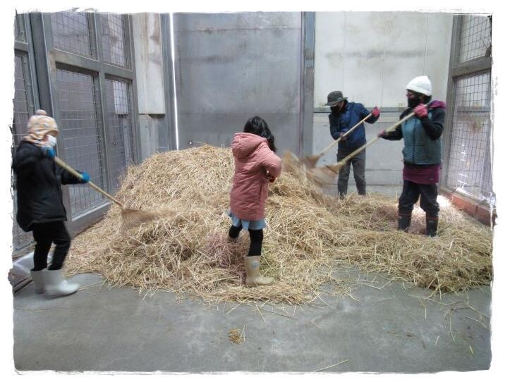 20231224_飼育員体験_2.jpg