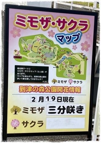 20240217_Itozu春Zoo_02.jpg