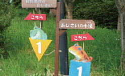 20250601_到津あじさいフェア_5.jpg