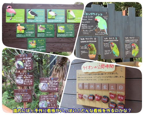 20250622_飼育員とわくわく看板作り_2.png