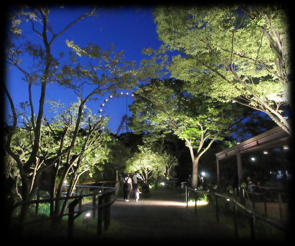 20250719_ItozuYotuZoo_2.jpg