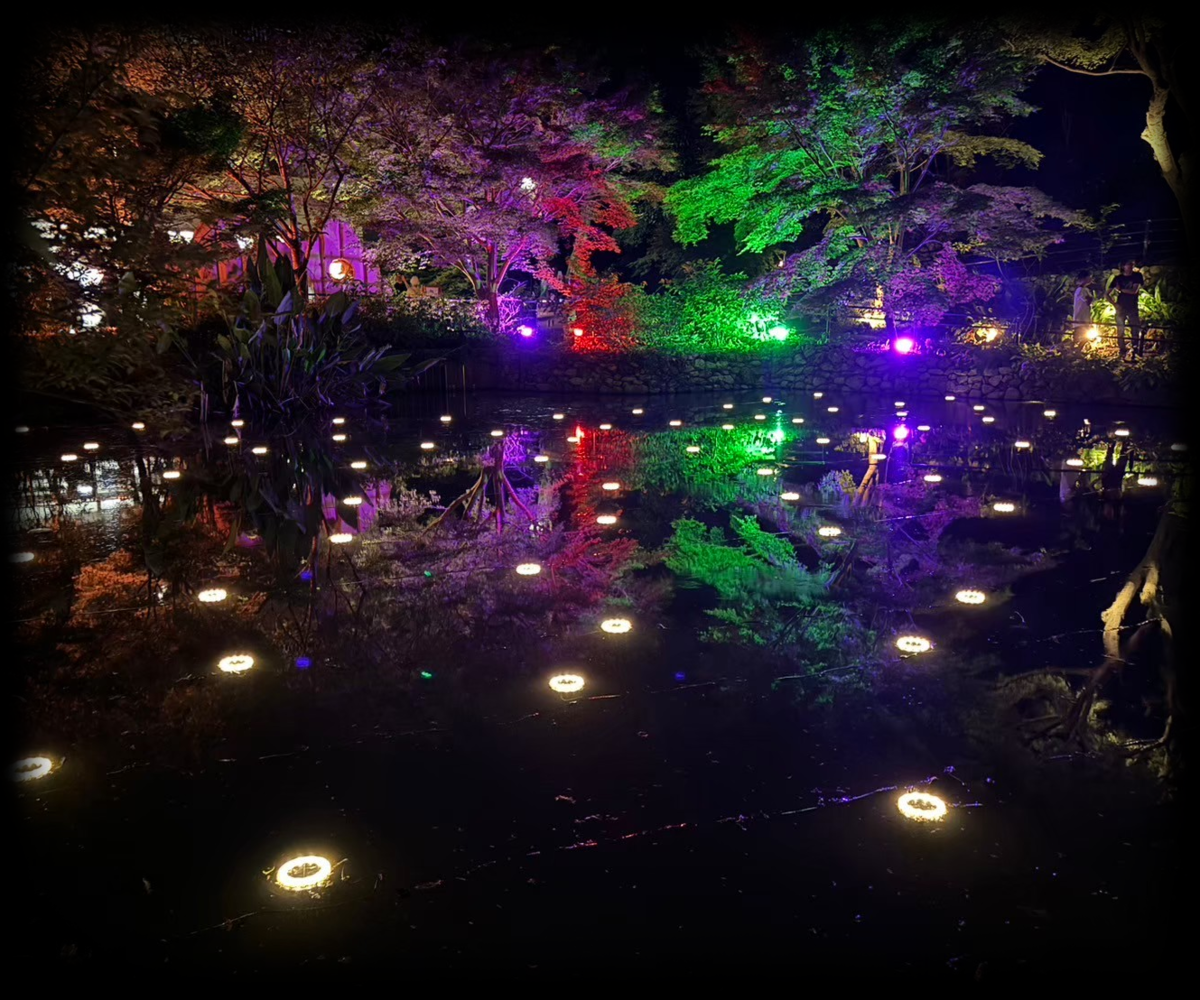20250719_ItozuYotuZoo_4.png