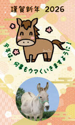 20260102_到津の森のお正月 (2).jpg