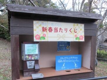 20260102_到津の森のお正月 (4).jpg