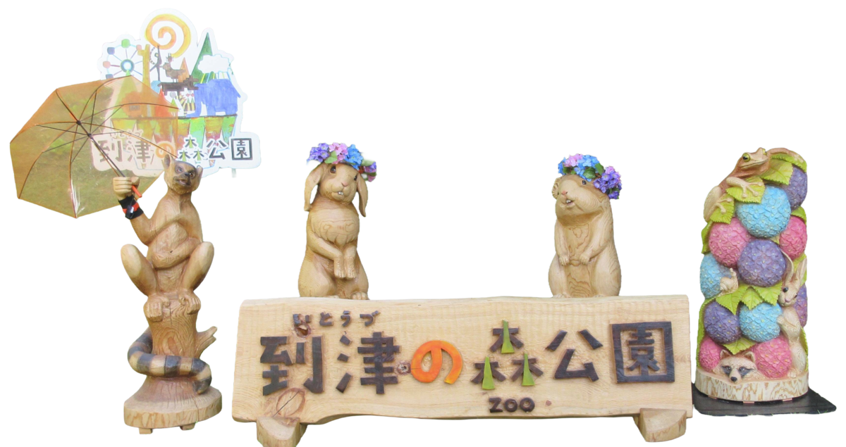 20260603_あじさい紹介_2.png
