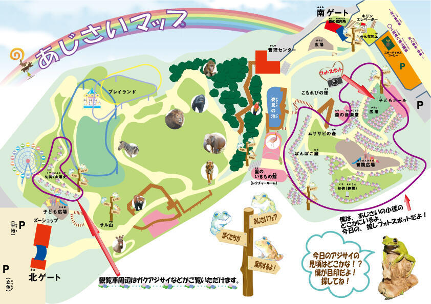 20260603_あじさい紹介_3.jpg