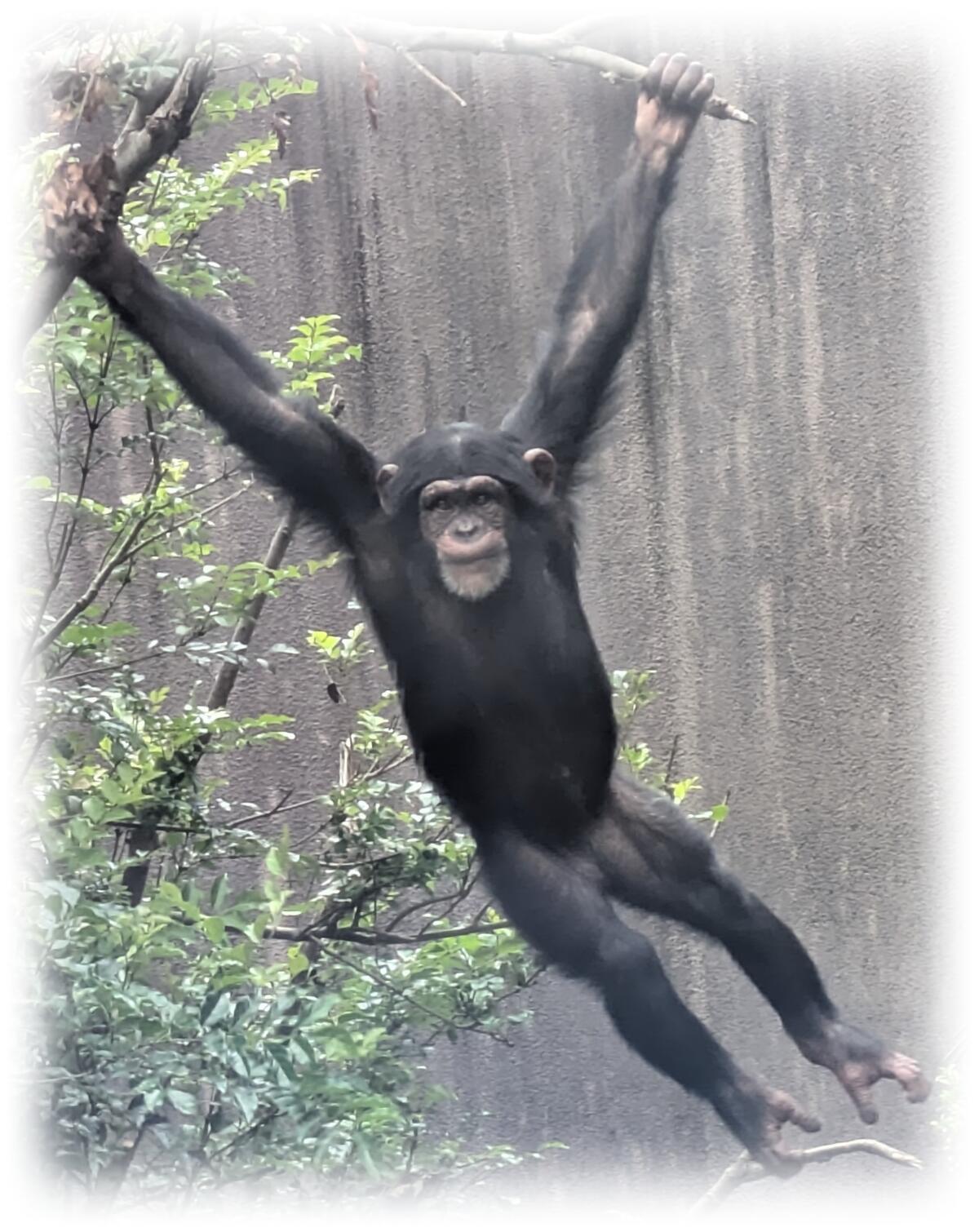20260701_飼育員のおはなし_2.jpg