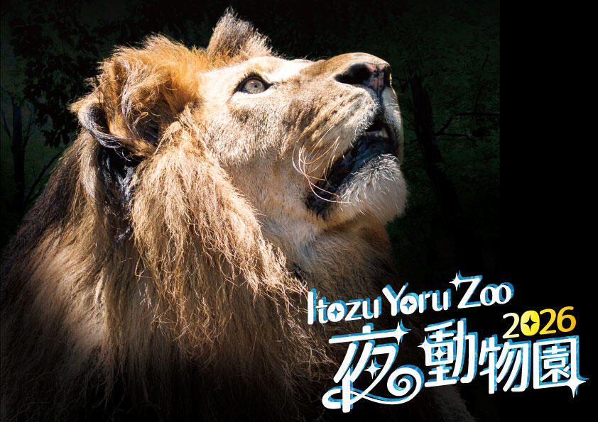Itozu Yoru Zoo ～夜の動物園～｜イベント情報｜到津の森公園