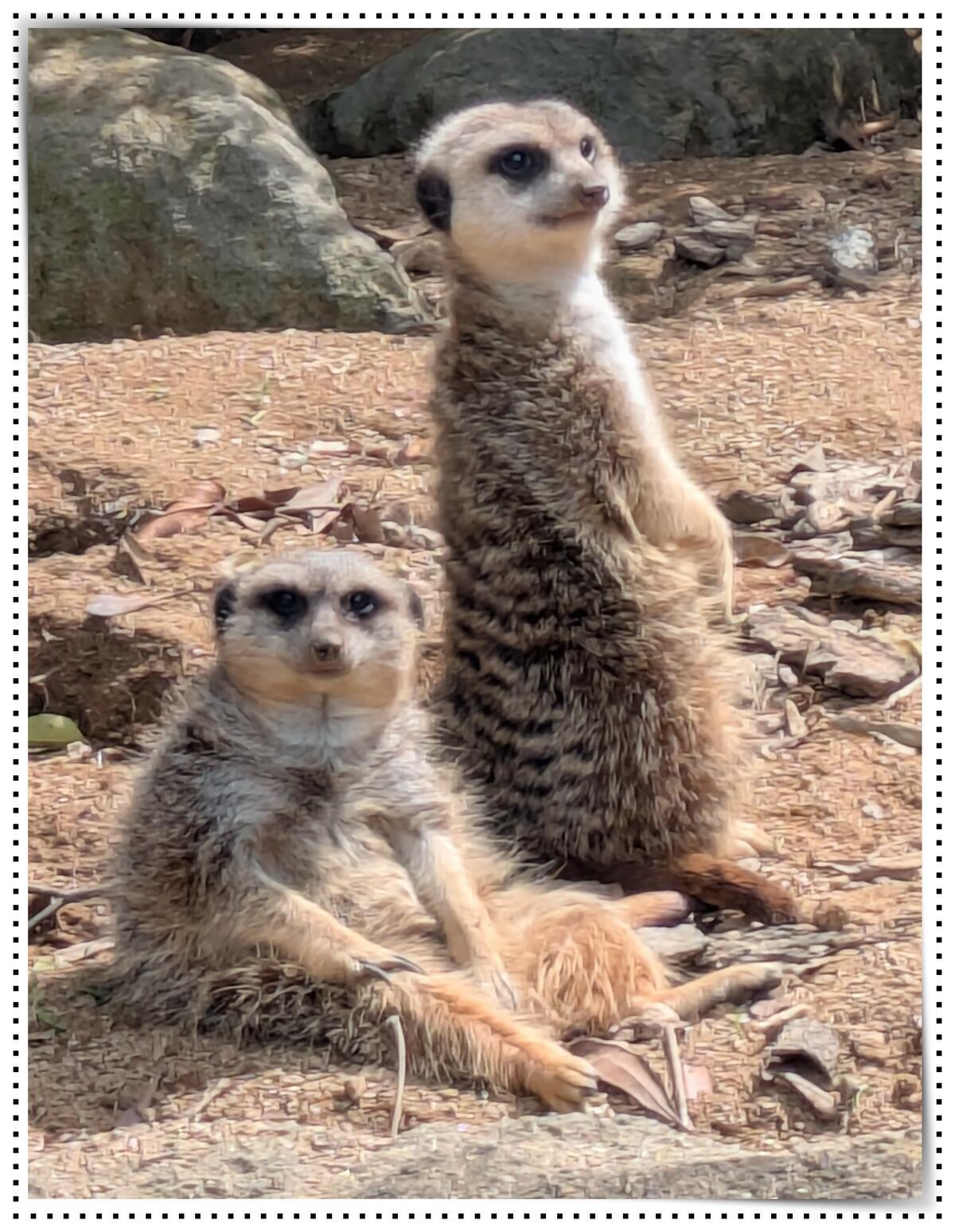 20260901_飼育員のおはなし_2.jpg