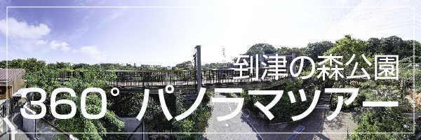 到津の森公園360°パノラマツアー