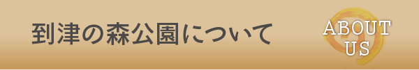 到津の森公園について