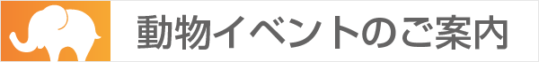 動物イベントのご案内
