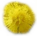 ミモザ.png