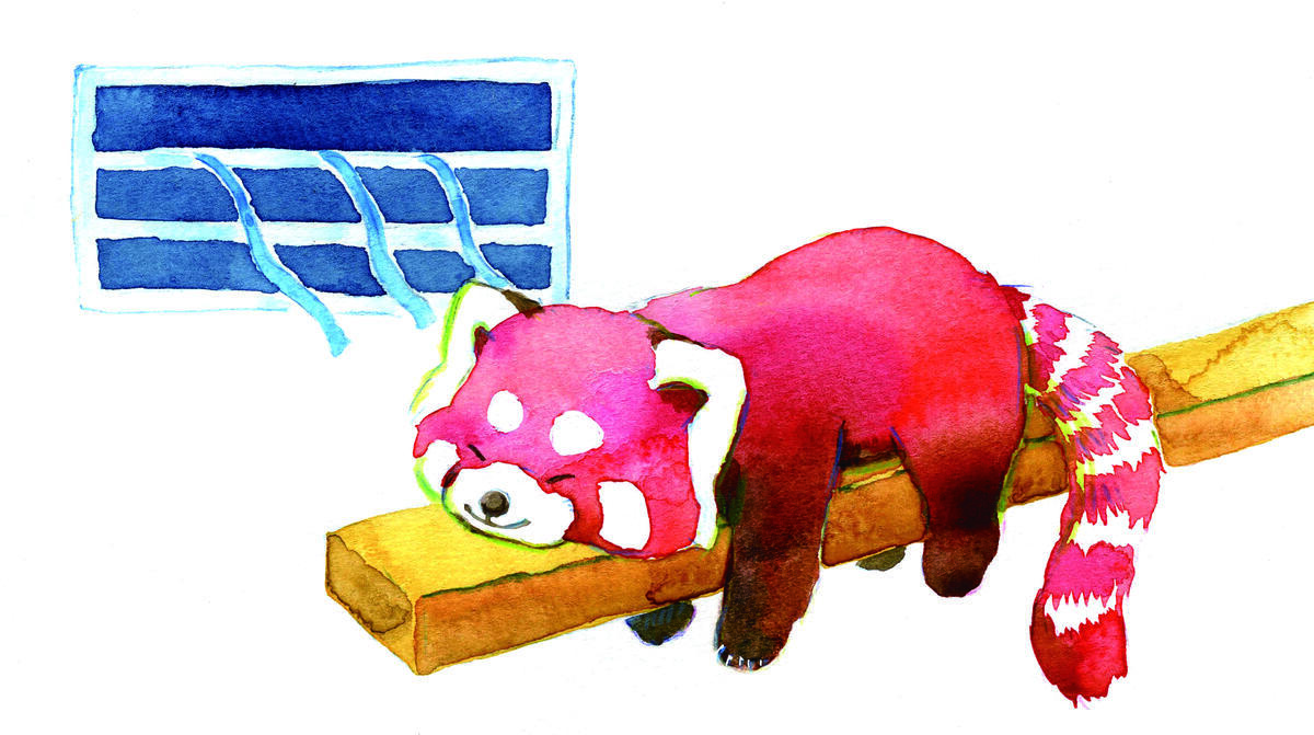 涼しいレッサーパンダ047のコピー.jpg