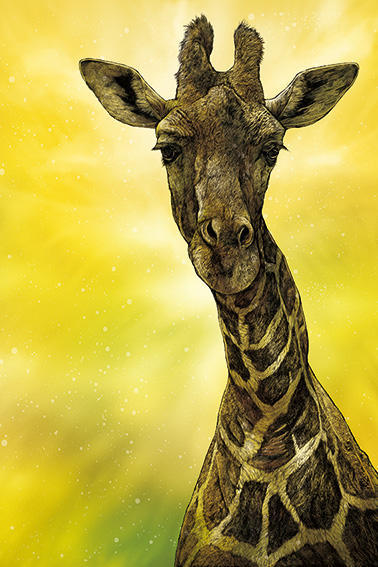 20210301_vivid_animal_3.jpg
