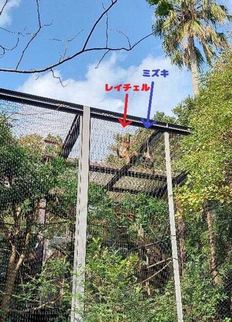 20251203_レイチェル公開開始 (2).jpg