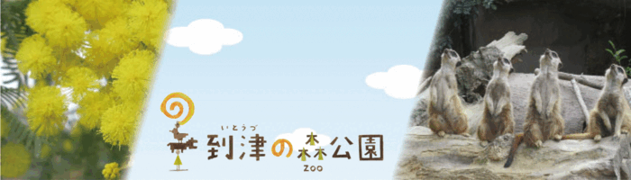 到津の森公園_2025