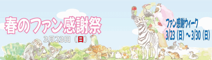 2025年春のファン感謝祭