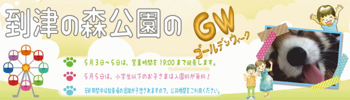 2025年GW