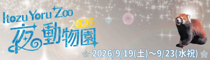 2026年SW