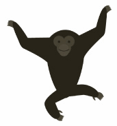 テナガザル.gif