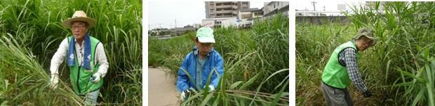 雨の合間に-2.jpg