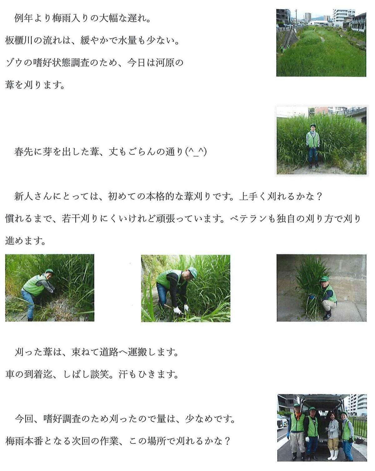 20240715_ﾎﾞﾗﾝﾃｨｱﾌﾞﾛｸﾞ.jpg