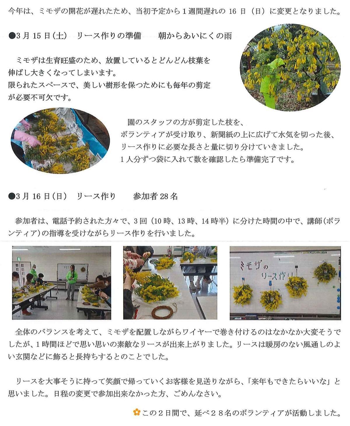 20250320_ﾎﾞﾗﾝﾃｨｱﾌﾞﾛｸﾞ.jpg