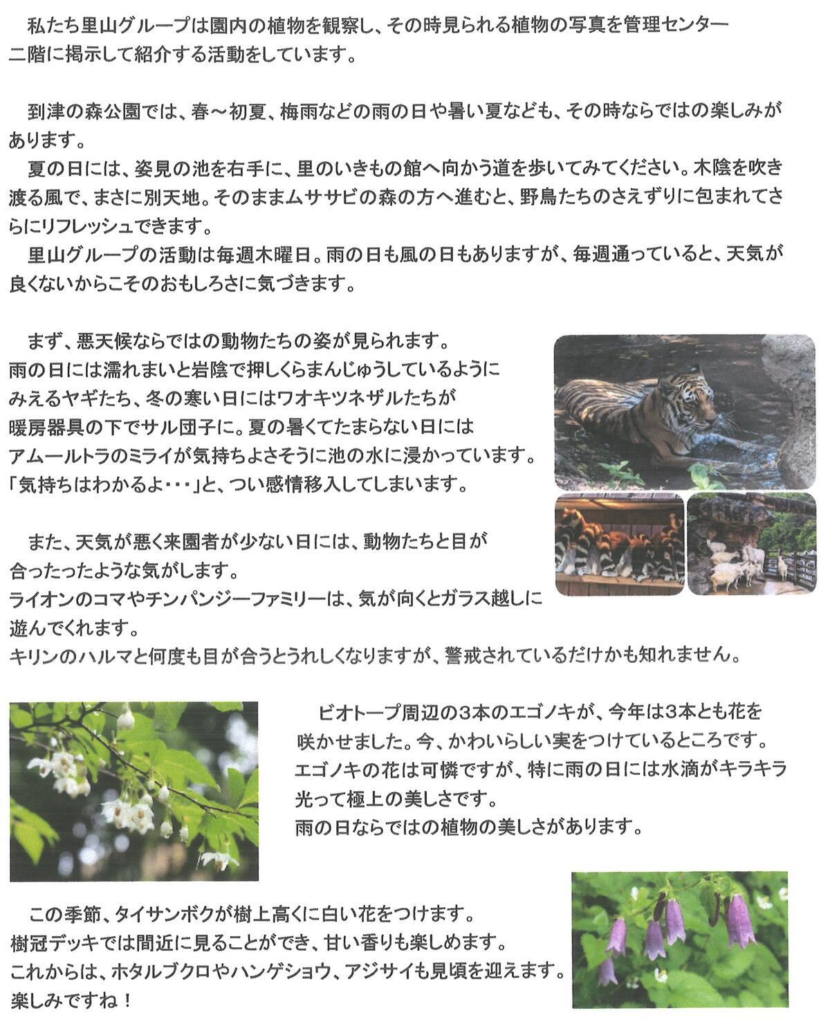 20250611_ボランティアブログ.jpg