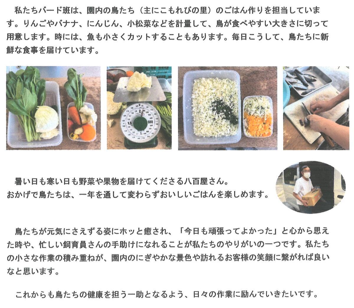 20250904_ボランティアブログ.jpg