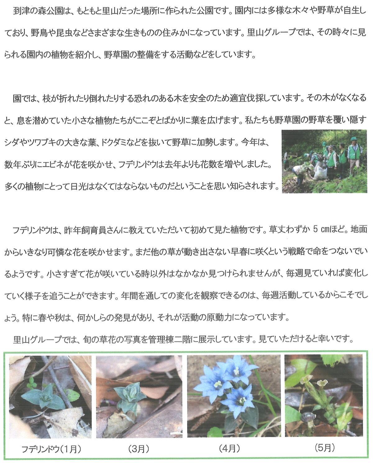 20260621_ボランティアブログ.jpg
