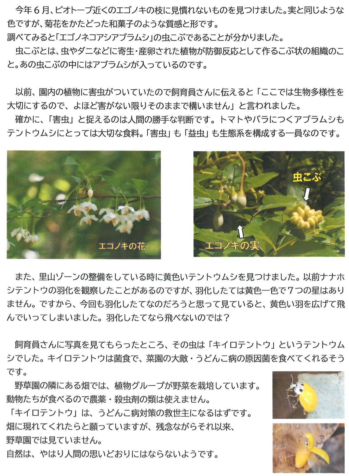 20261018_ボランティアブログ.jpg